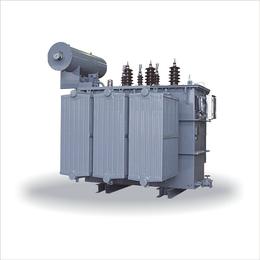 产品库 电气与能源设备 输配电设备 电力变压器 scb10干式变压器厂家