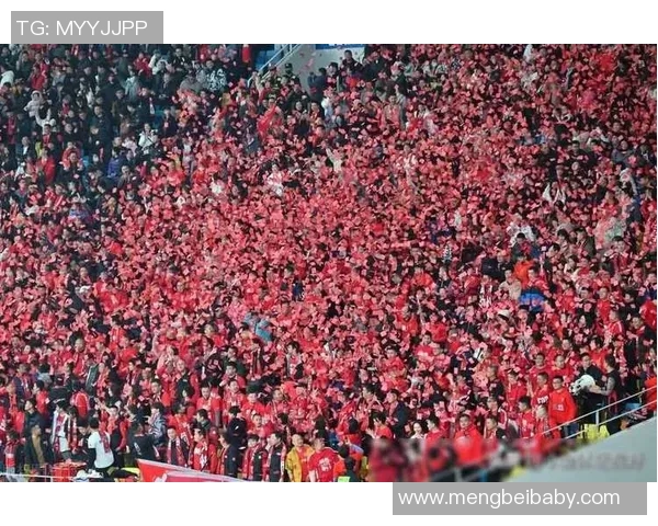 成都足球队灵活性引发热议球迷与专家观点交锋探讨球队未来发展